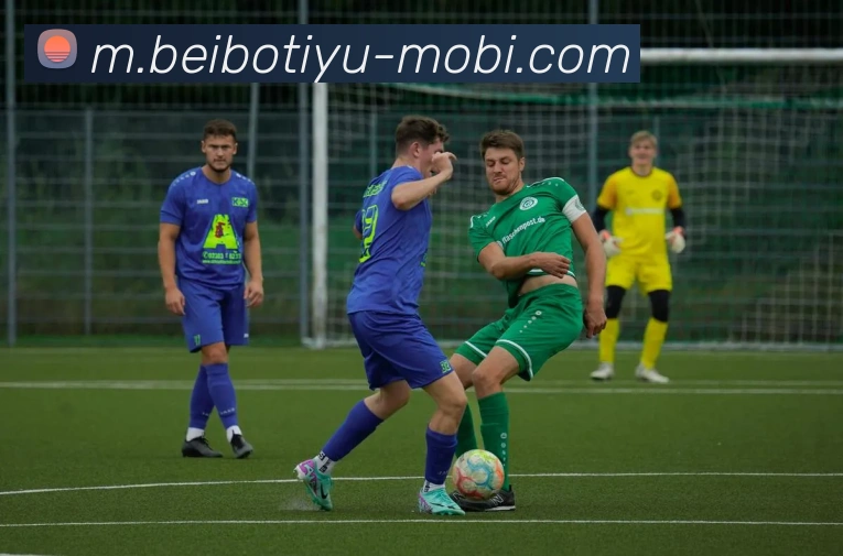 贝博体育平台生态图